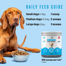 Load image into Gallery viewer, Pritty Pets Plaque Remover - 100% Natural Plaque & Tartar Treatment