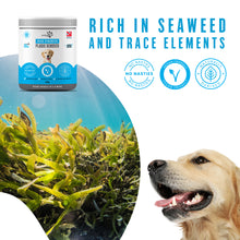 Load image into Gallery viewer, Pritty Pets Plaque Remover - 100% Natural Plaque & Tartar Treatment