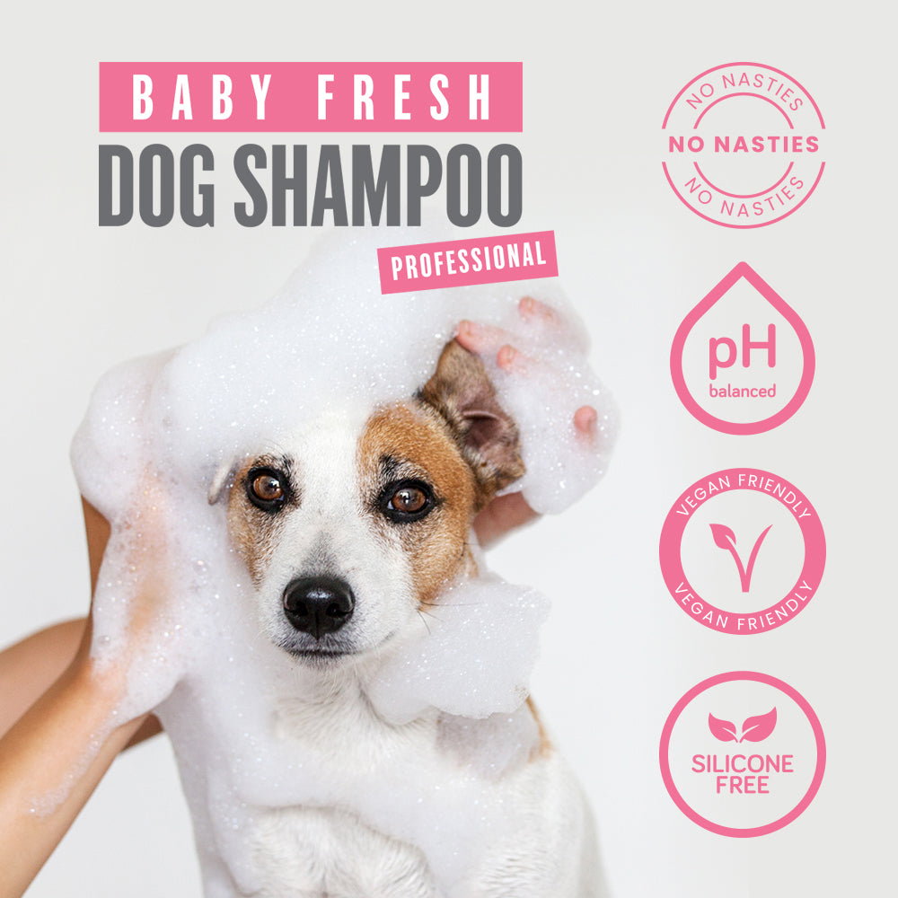 Fresh dog outlet shampoo